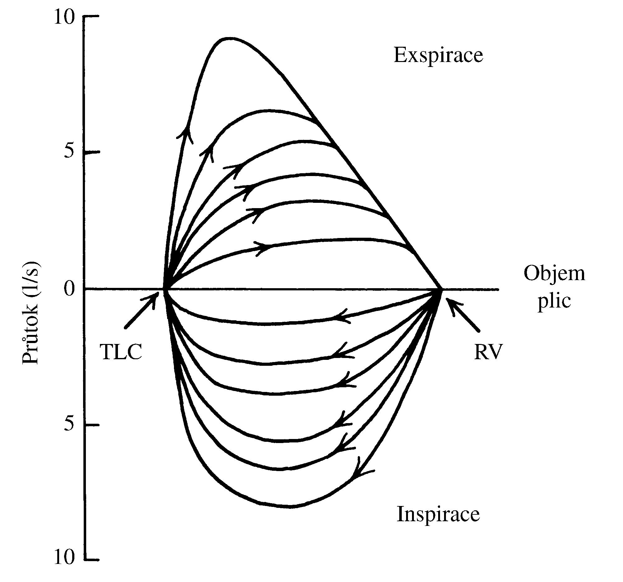 2021 Patologicka fyzio 1 Page 329 Image 0001