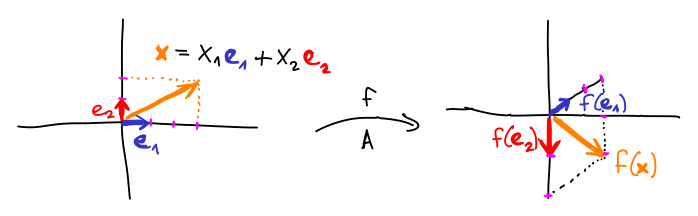 linearni zobrazeni urceno obrazem kanonicke baze