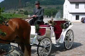 25ab8d5d-5ada-4e09-8cf9-e31b5e42c16c