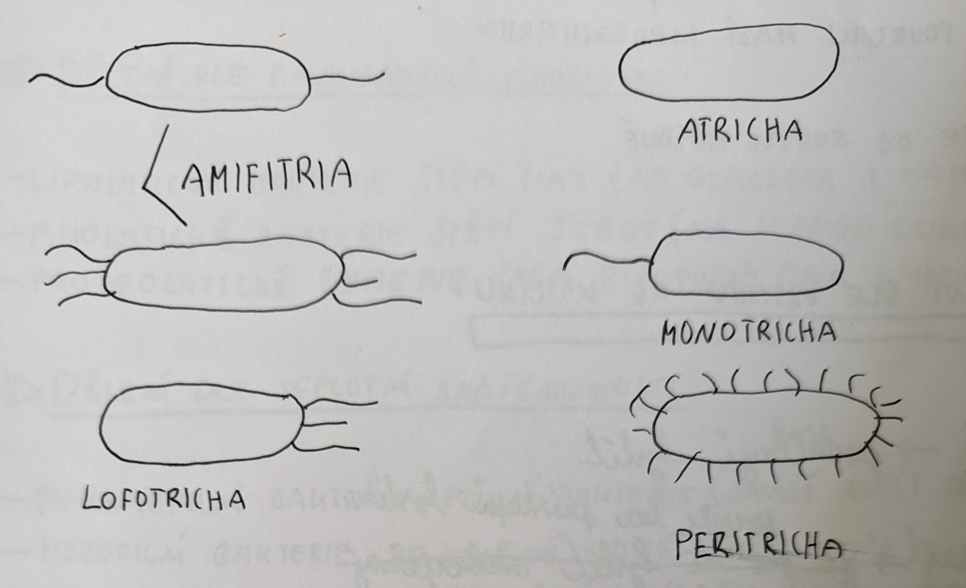 PXL 20220814 100409621