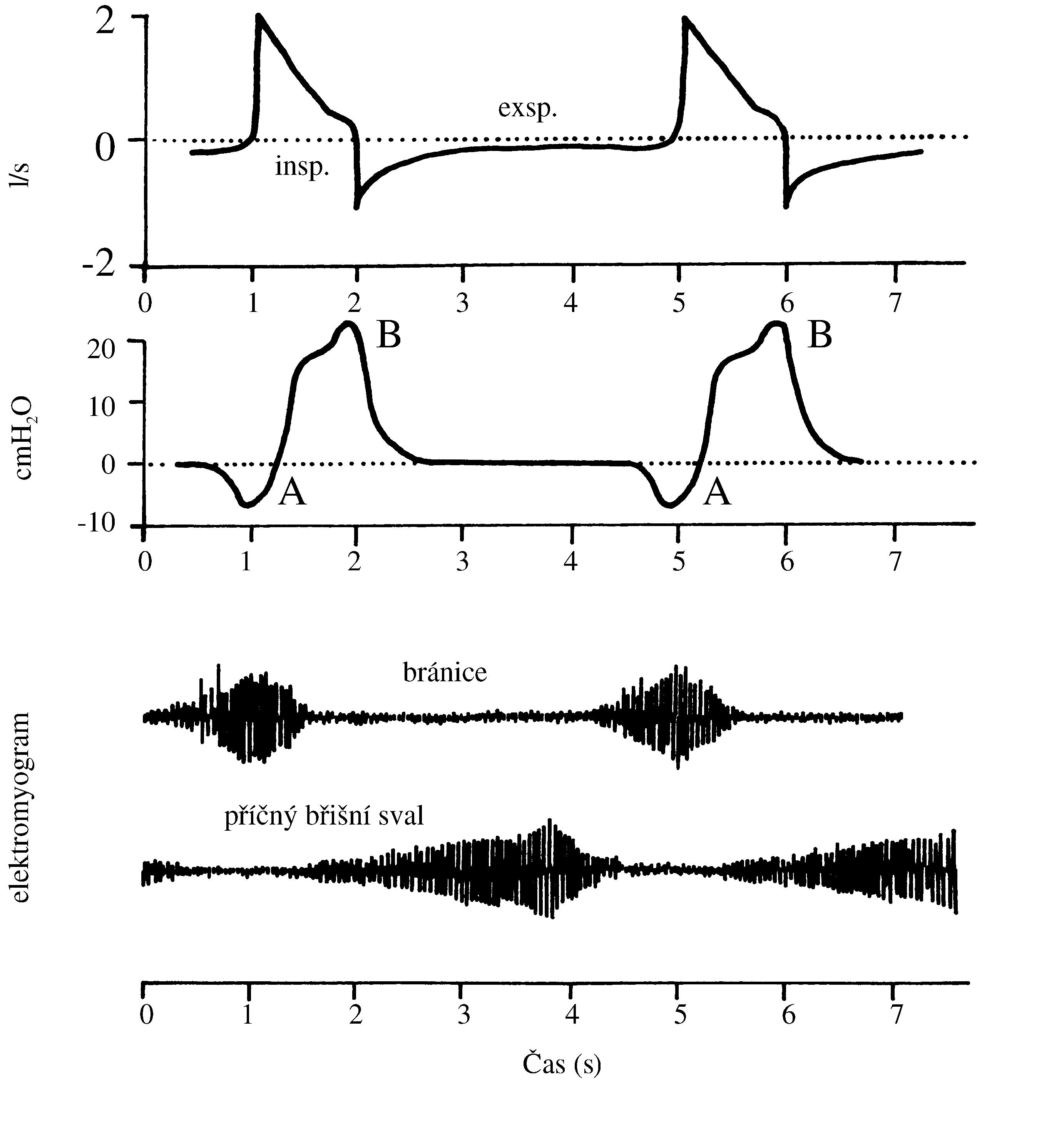 2021 Patologicka fyzio 1 Page 340 Image 0001
