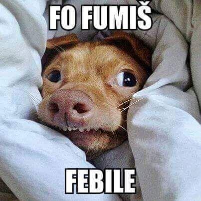 2dd85bafd8f3b2d04f3026e7d52667fa