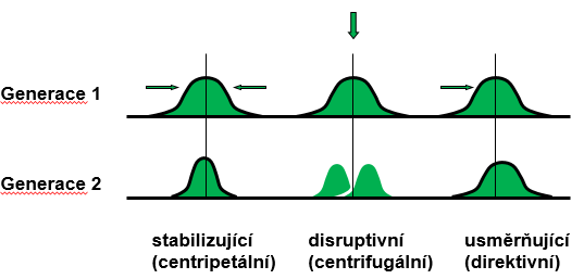 4007e674-92ef-48e6-8710-70248a920f1e