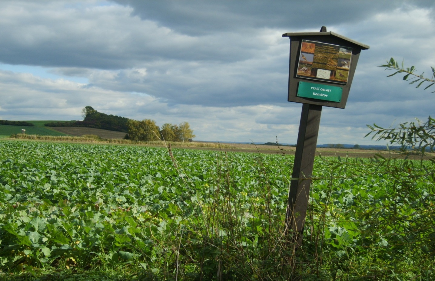 image051