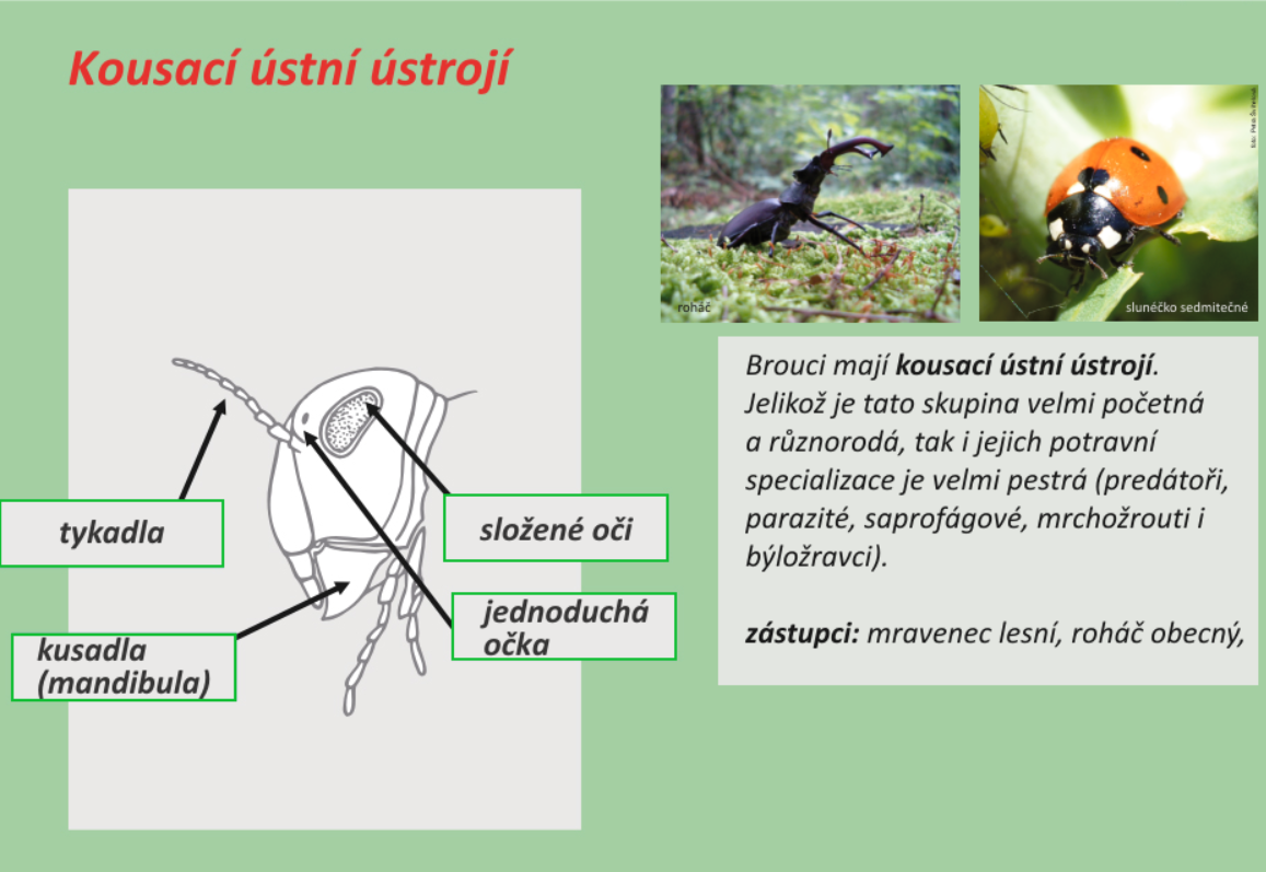 152414868 1100489830464743 4261781904549377252 n