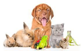 image-20191121144128-1