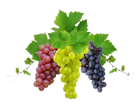 KIT7a298d imgbauer mediadrpl 2015 44075 133647