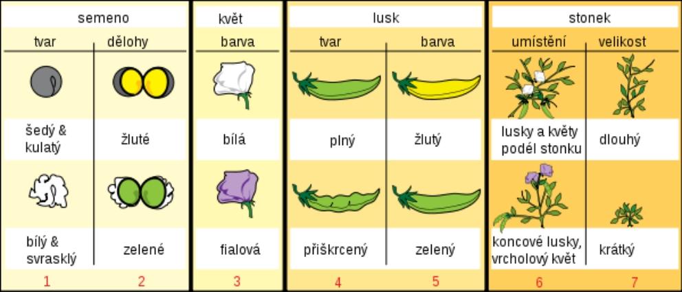 Notes 221125 113429 518