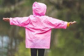 29e10071-58d2-409a-9ebc-61e4ea07705a