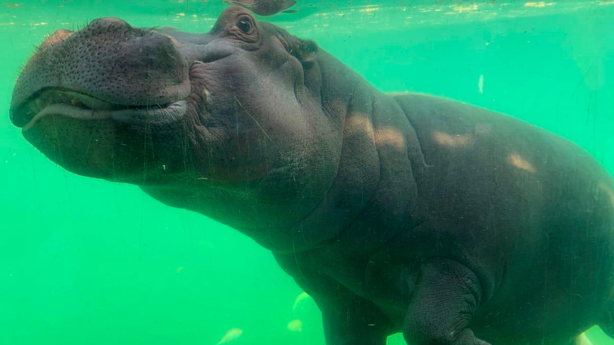 7cad1a1900cf4b155011acedd52e4292