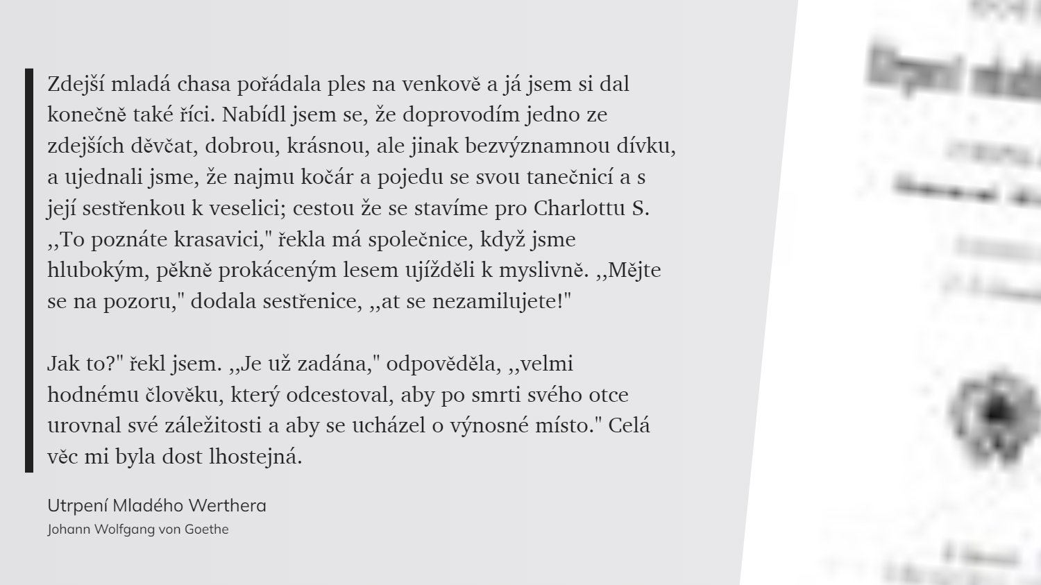 Utrpení Mladého Werthera (3)