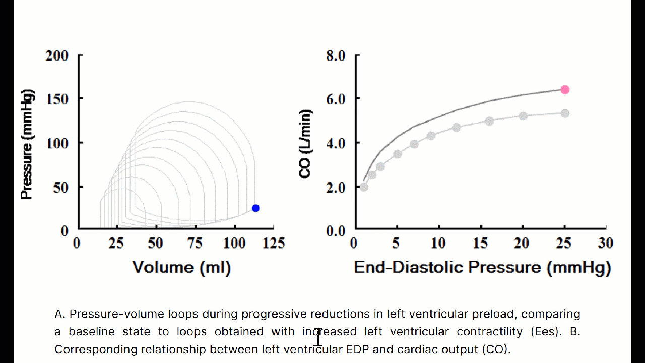 DB97F016-3E01-4590-B90E-5C482B41523A