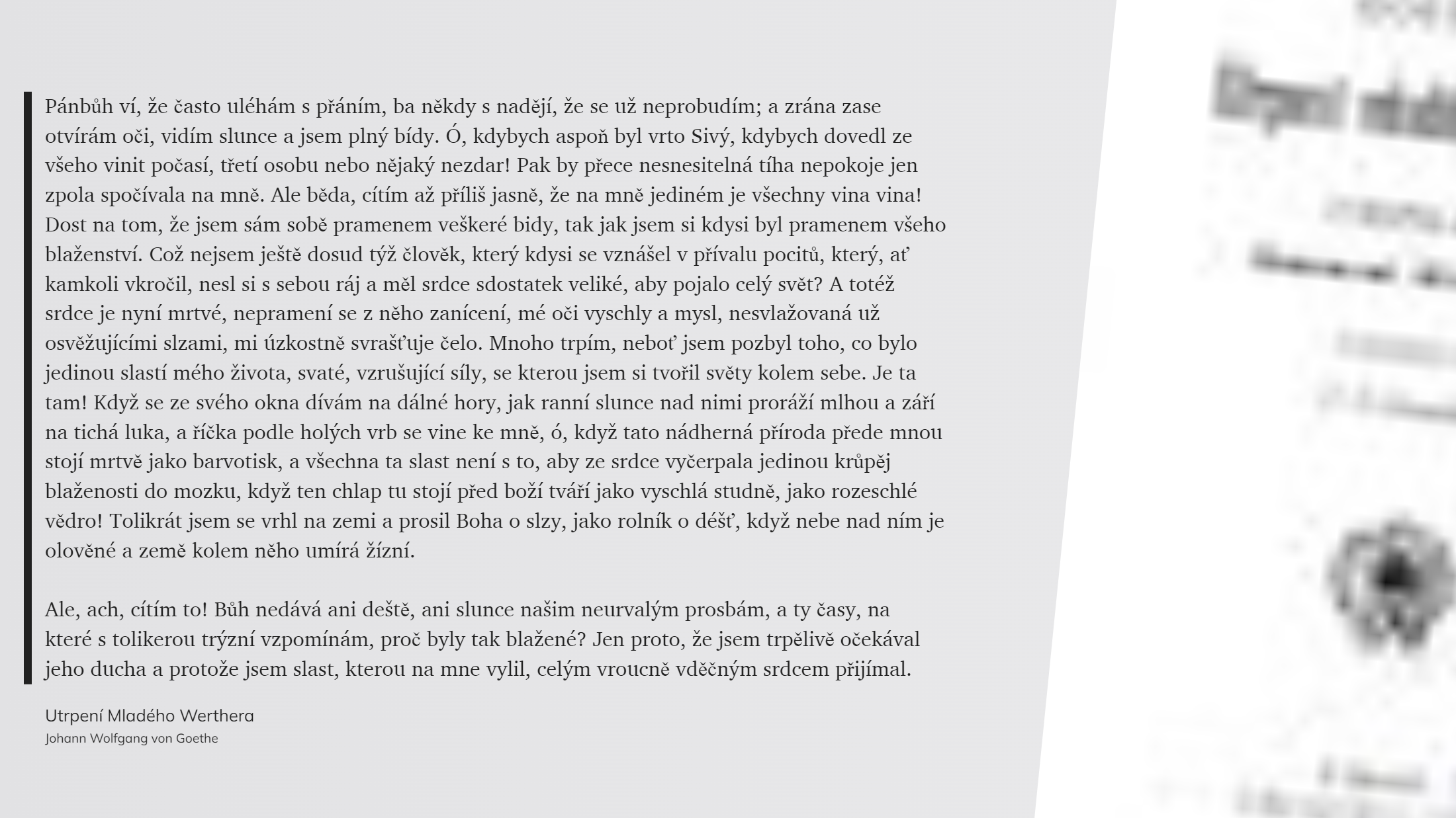 Utrpení Mladého Werthera (43)