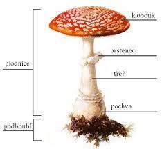 2a319fa3-2173-45b2-b031-355029775583