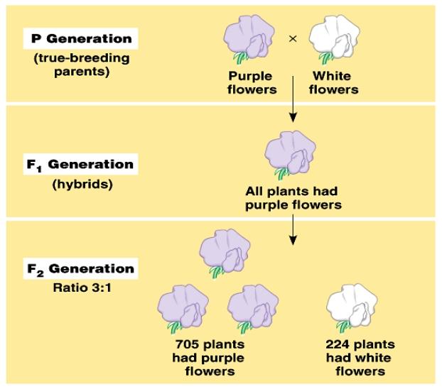 Notes 221125 113944 13a