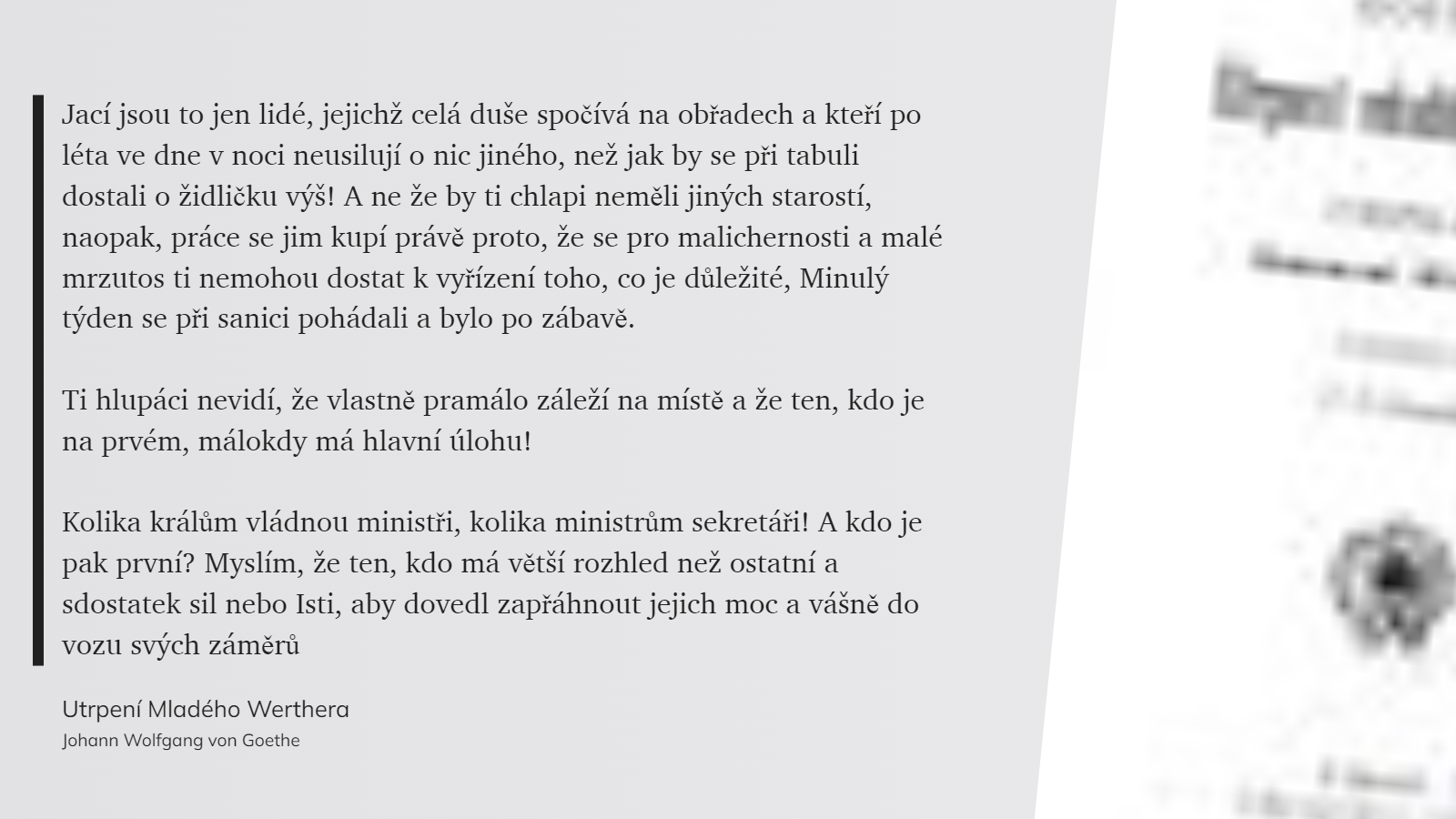 Utrpení Mladého Werthera (33)