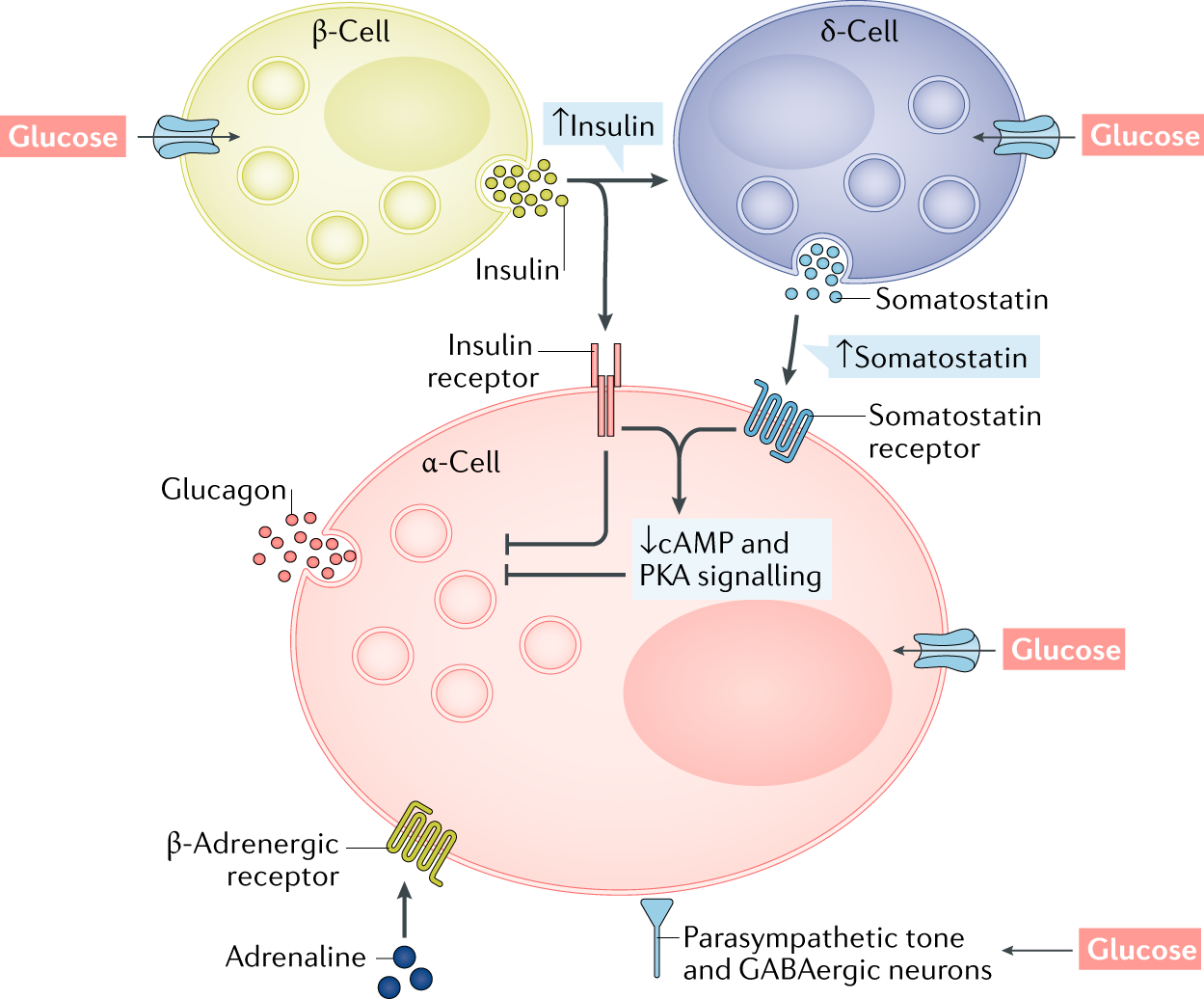 41574 2018 97 Fig2 HTML