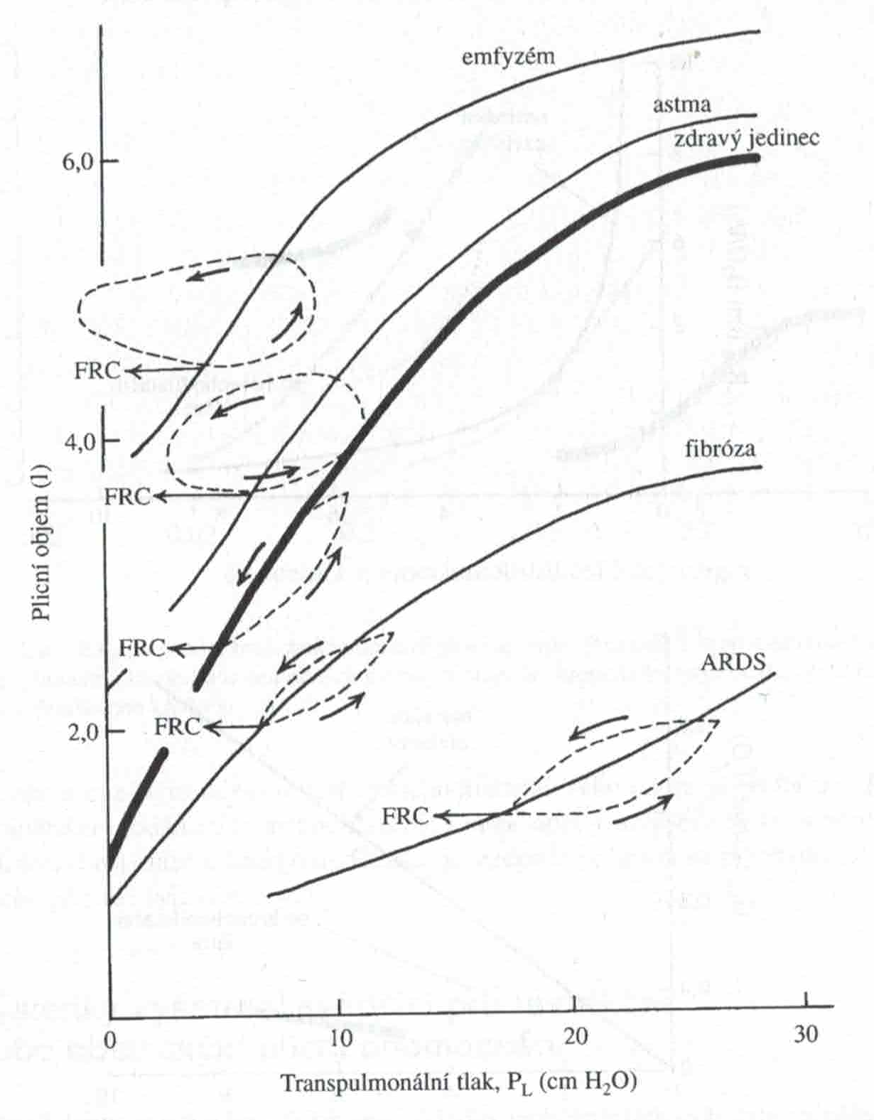 Skener 20231220 (32)