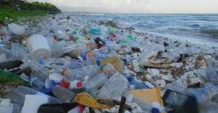 2b0f17d8-b7e1-4ab1-ba40-c49dc8f5f8bd