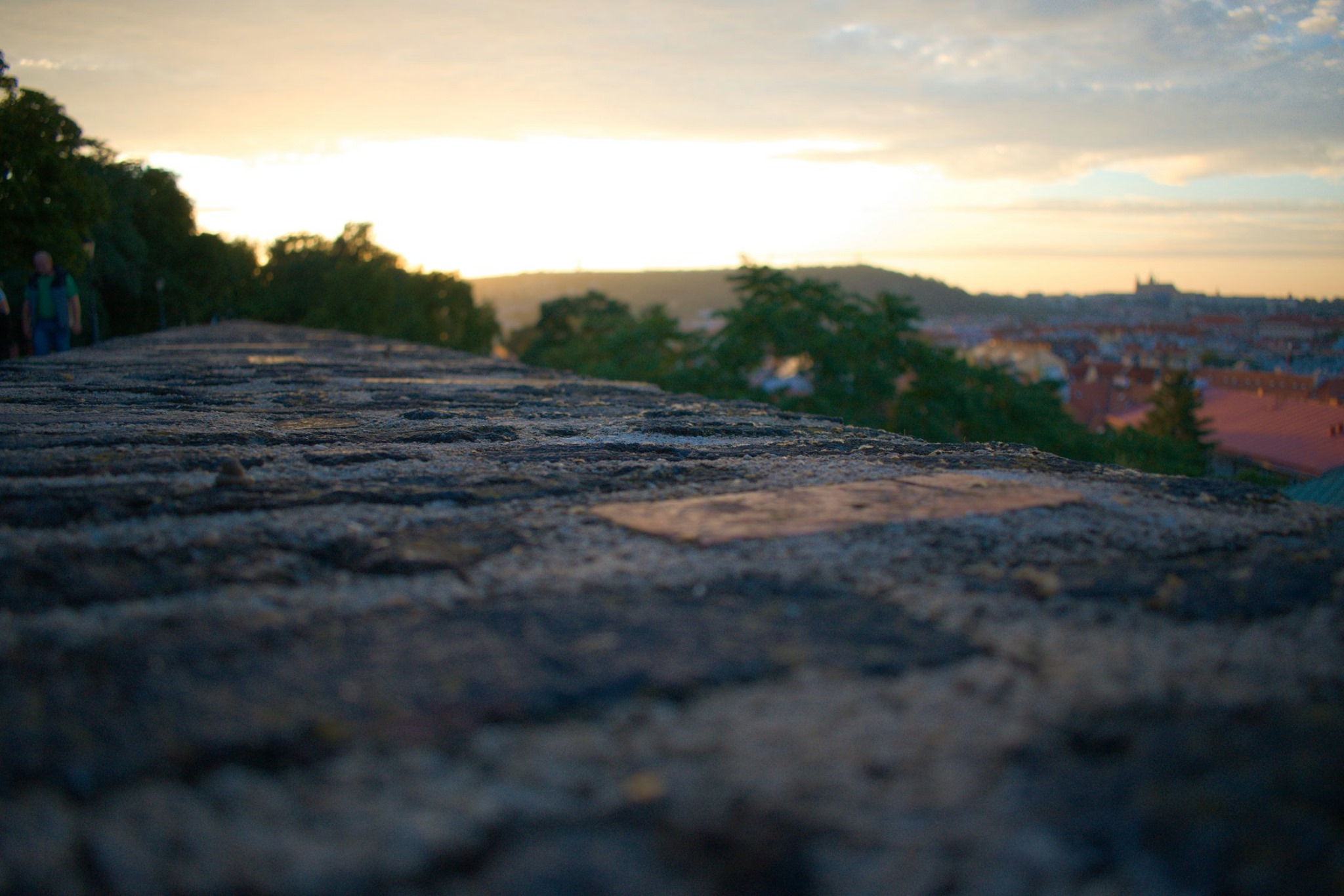 67899019 2699564653388050 3771836181948399616 n