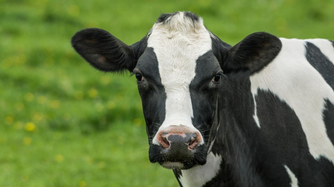 1107639-profimedia-0295622972-base 16x9.jpg