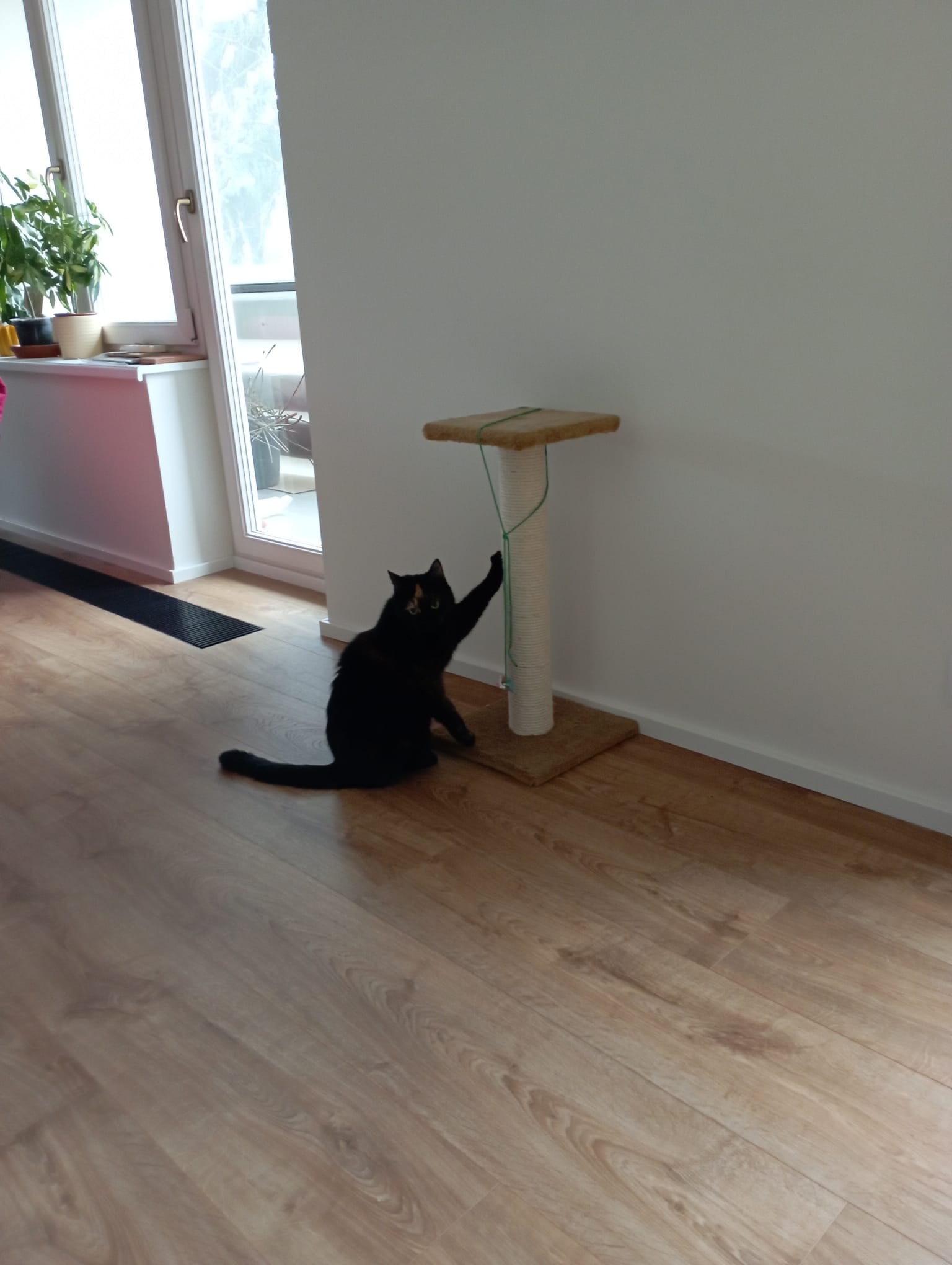 fb163eff-063a-4174-bdf6-e19efe85d40c