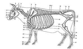 2c7aab4f-42a9-4573-8f02-959379f0e031