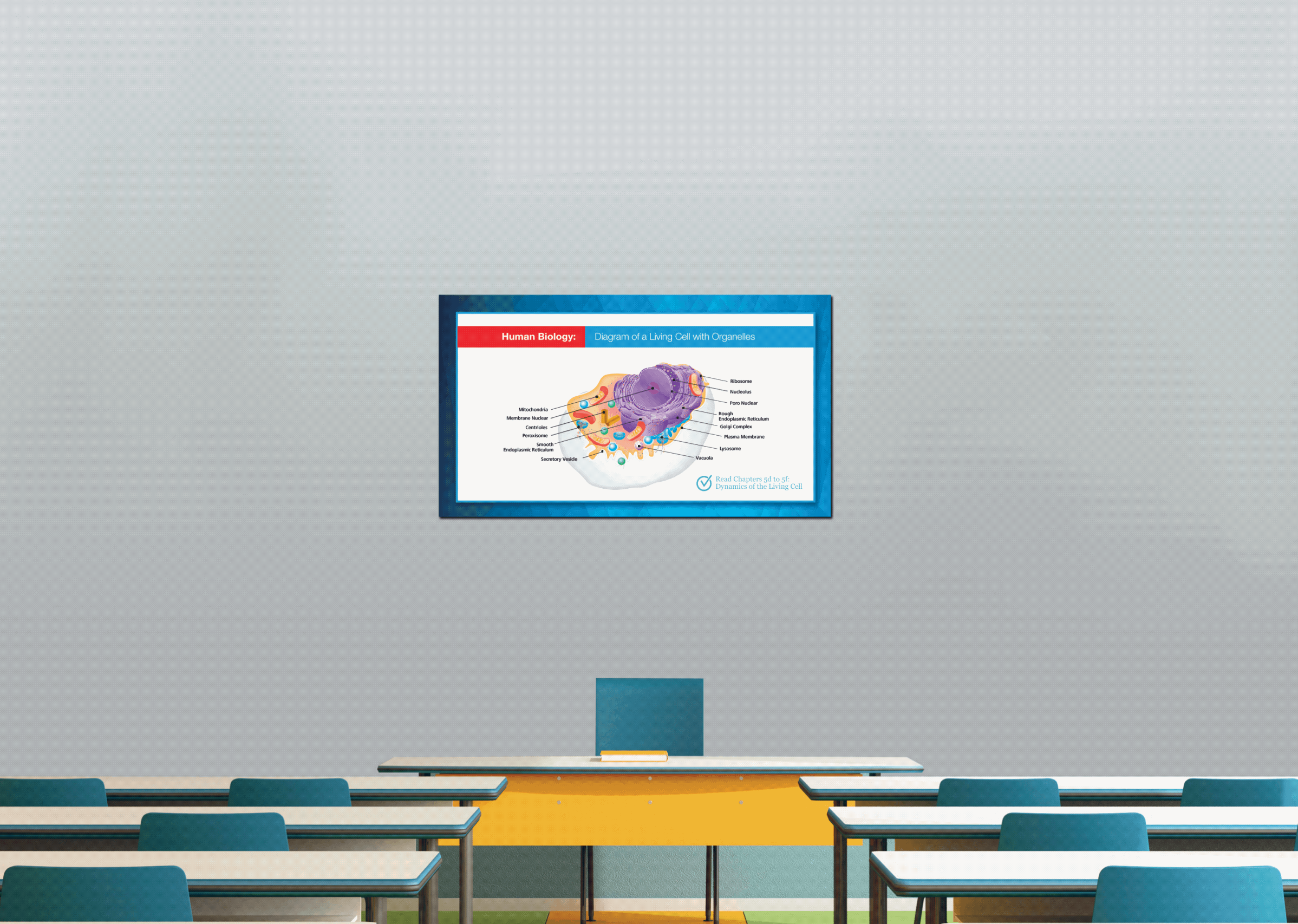 frame 06 delay-0.25s