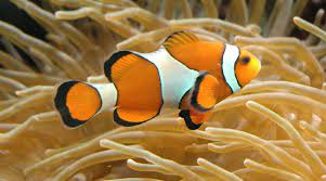 2d45f02a-0b2e-4188-9d8e-a6155cb6a77f