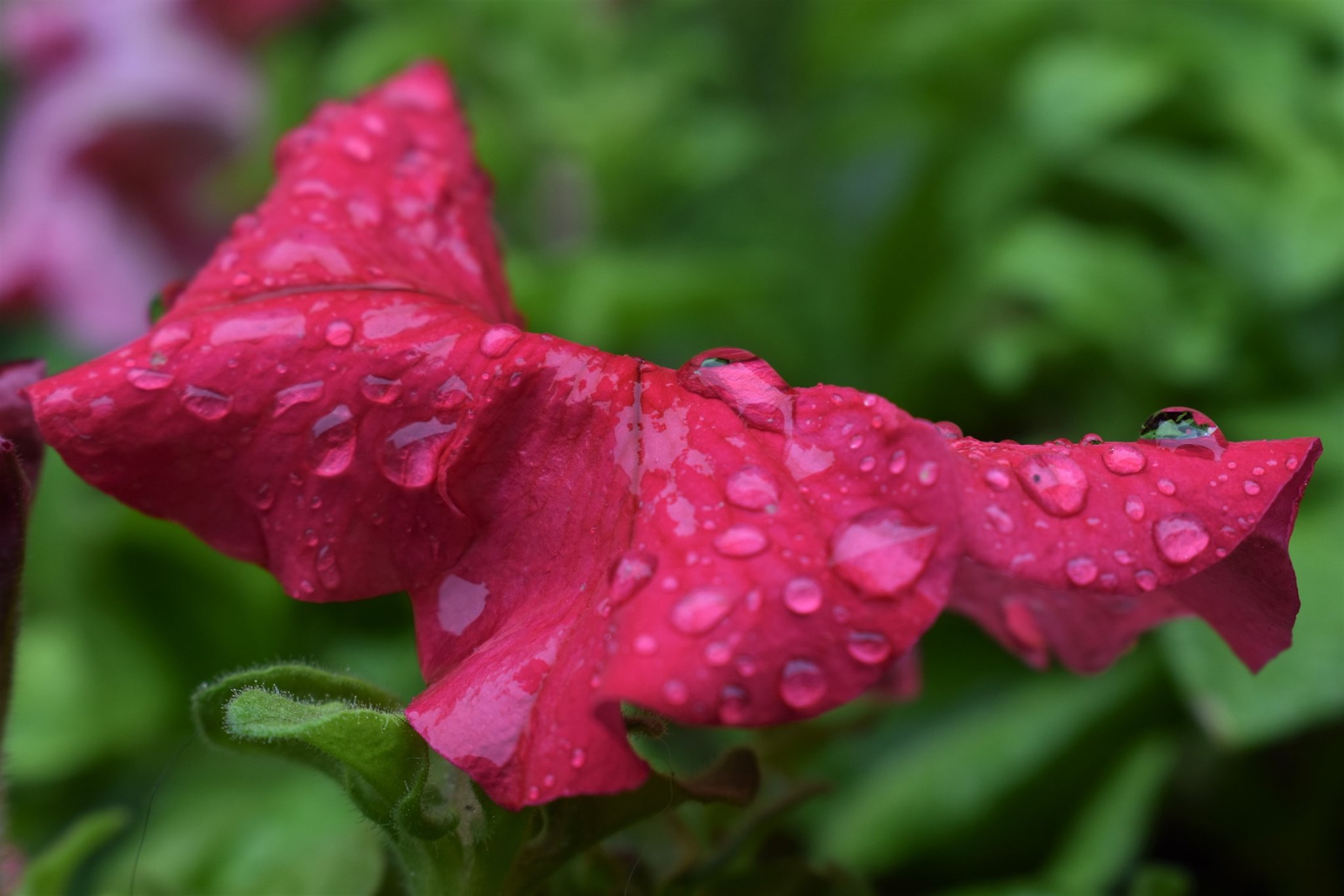 110201401 3491034290907745 4169034023760122369 n