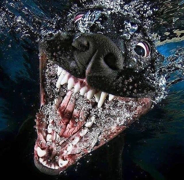 BBAD9F9A-2FDA-409F-A1C7-7C1BFBE94D7D