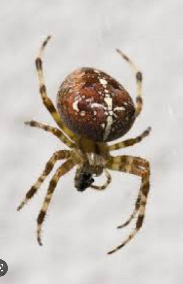 Screenshot 20230213-203452-696