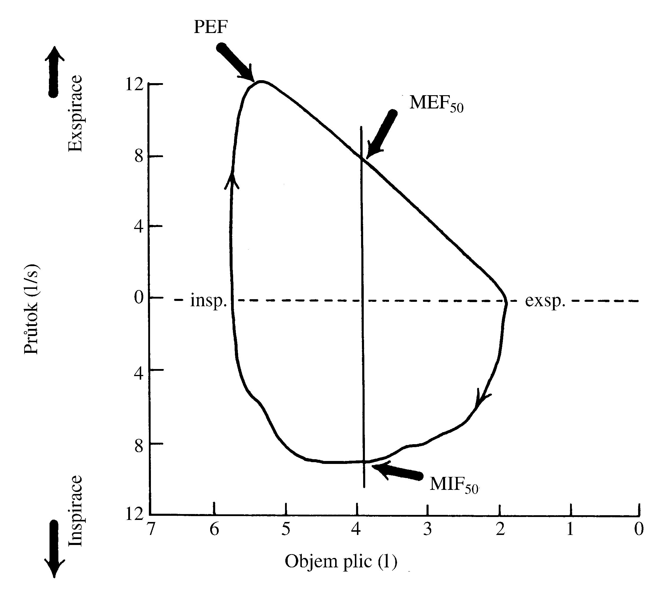 2021 Patologicka fyzio 1 Page 328 Image 0001