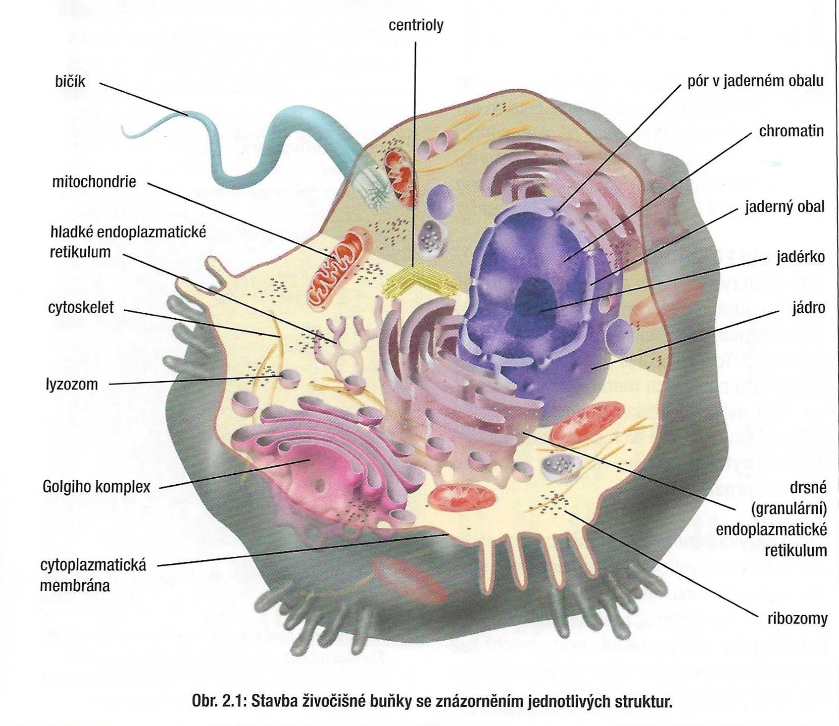 2022-10-28 111619 2 (1)