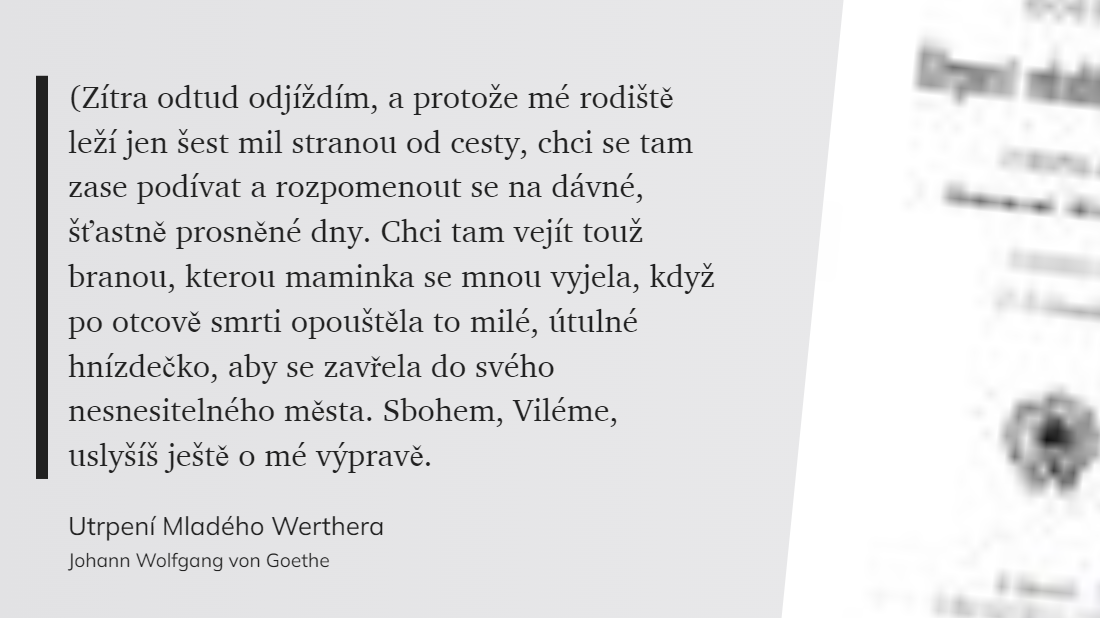 Utrpení Mladého Werthera (38)