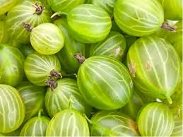 2f2f1bce-d9ca-41f0-85a2-13fb231ec9fa