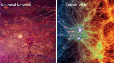 cosmic web
