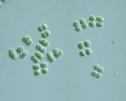 2fa7b4ed-2425-4f70-b915-c63a1cfac5ec