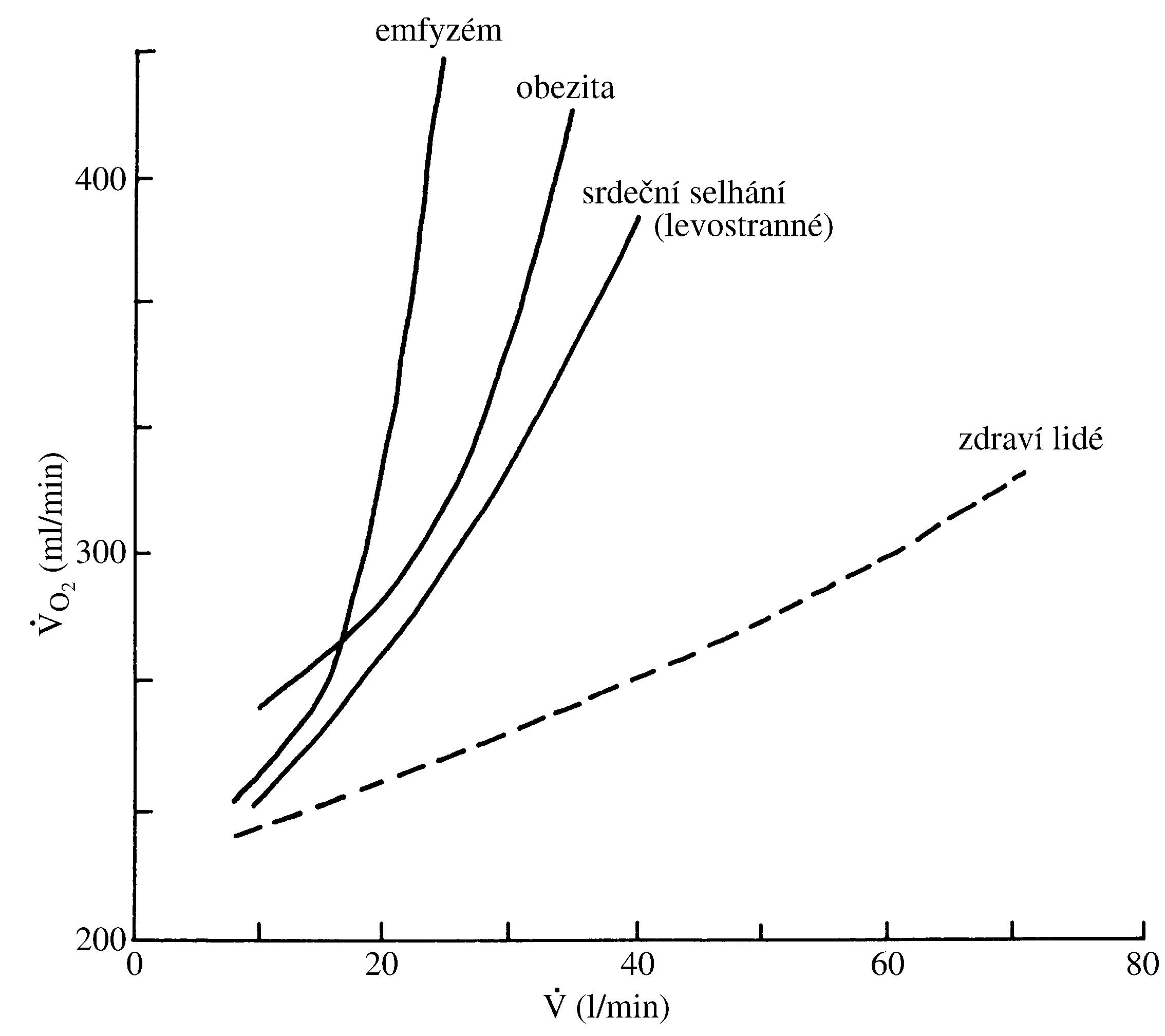 2021 Patologicka fyzio 1 Page 305 Image 0001