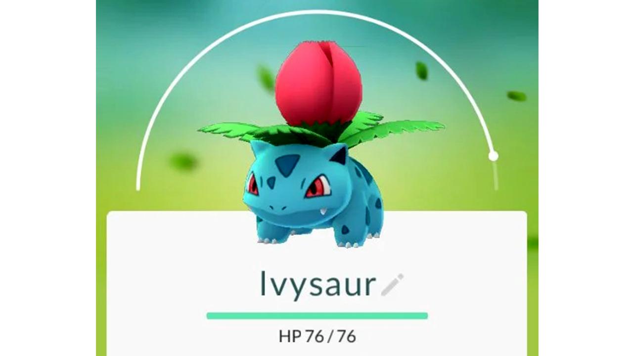 Ivysaur-Problem