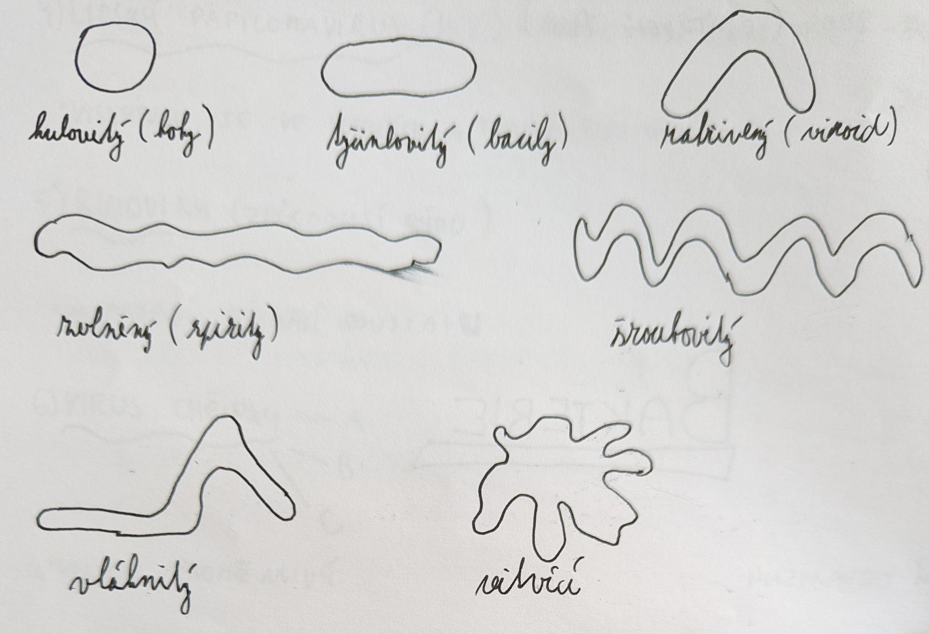 PXL 20220814 100347462