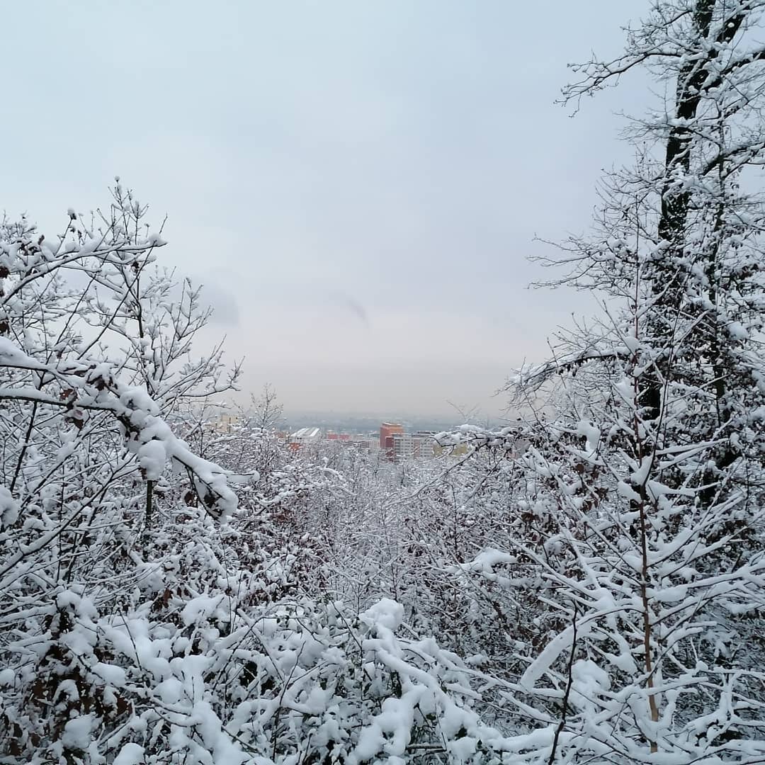 137212453 3531380306979791 24934986189688332 n