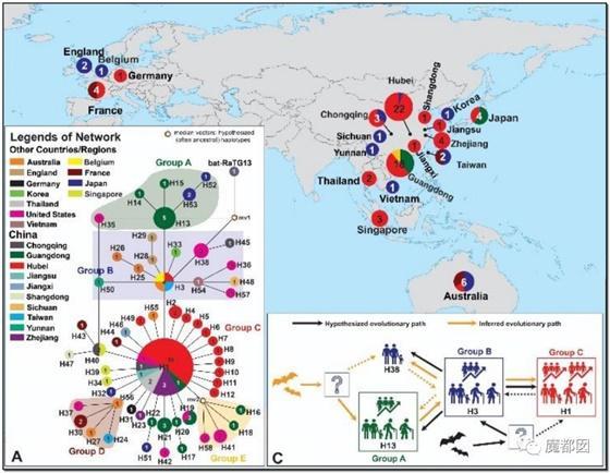 main-qimg-aa5610b6d39fe8e569541fd7f3de31b4
