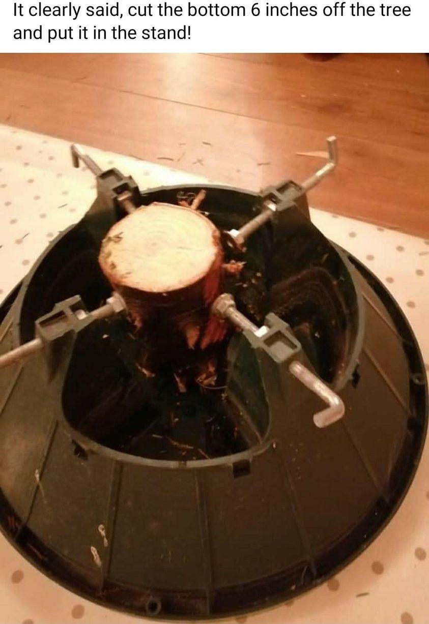 129778370 3844032265659465 1491230400569850024 o