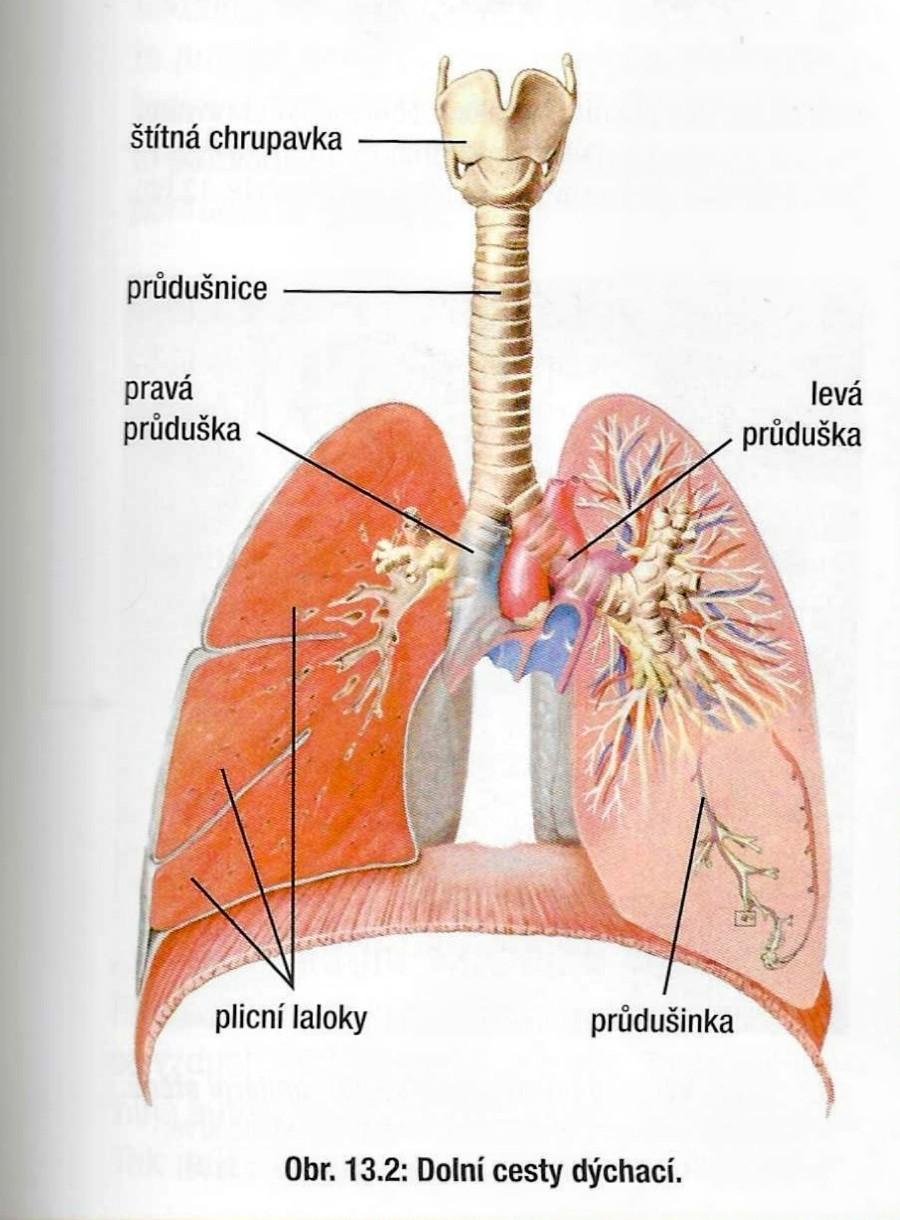 2022-11-09 100365 (1) 2