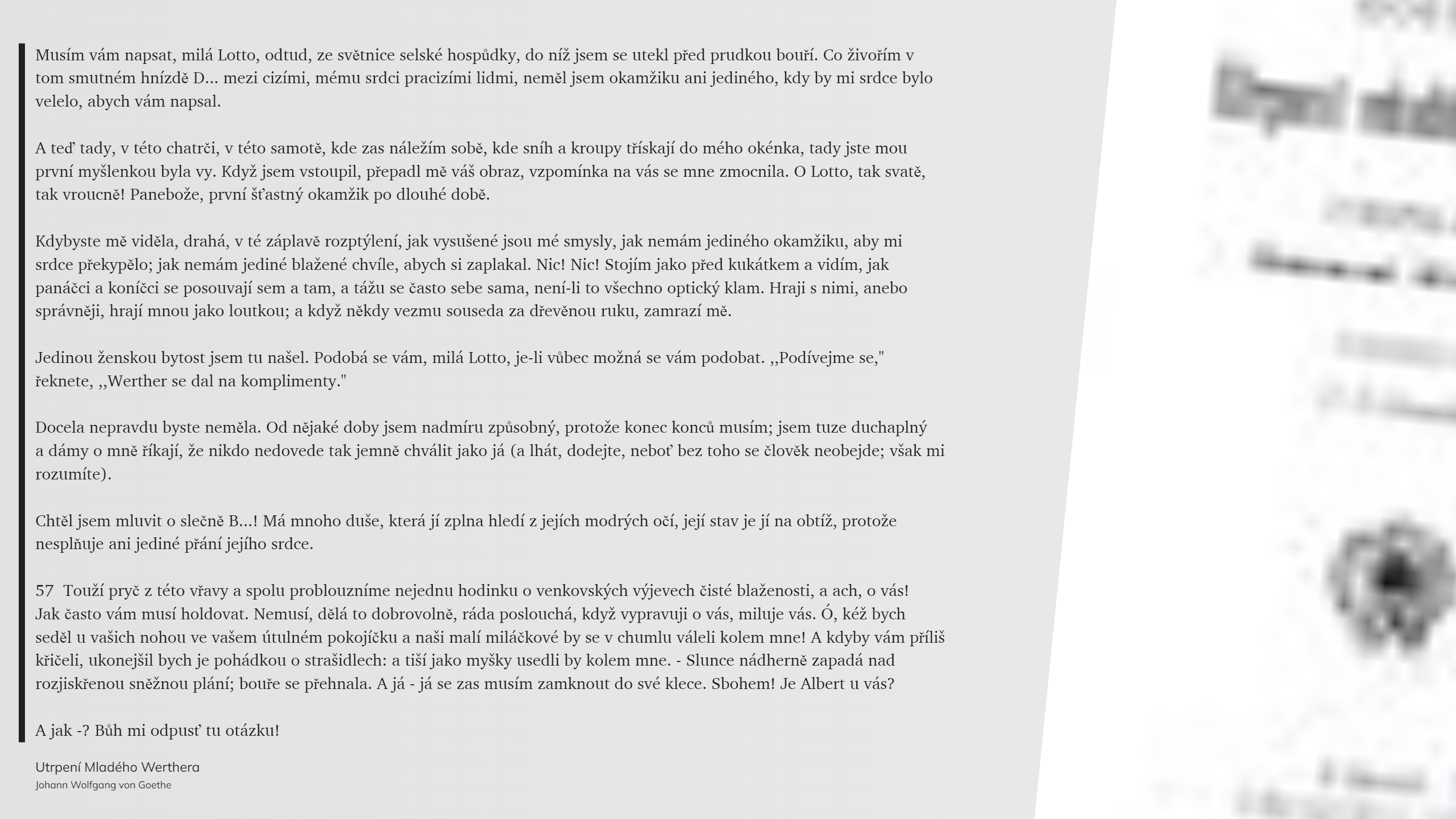 Utrpení Mladého Werthera (34)