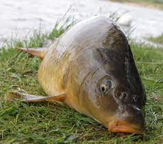 338eaf40-e325-450c-859d-08dc625a0adc