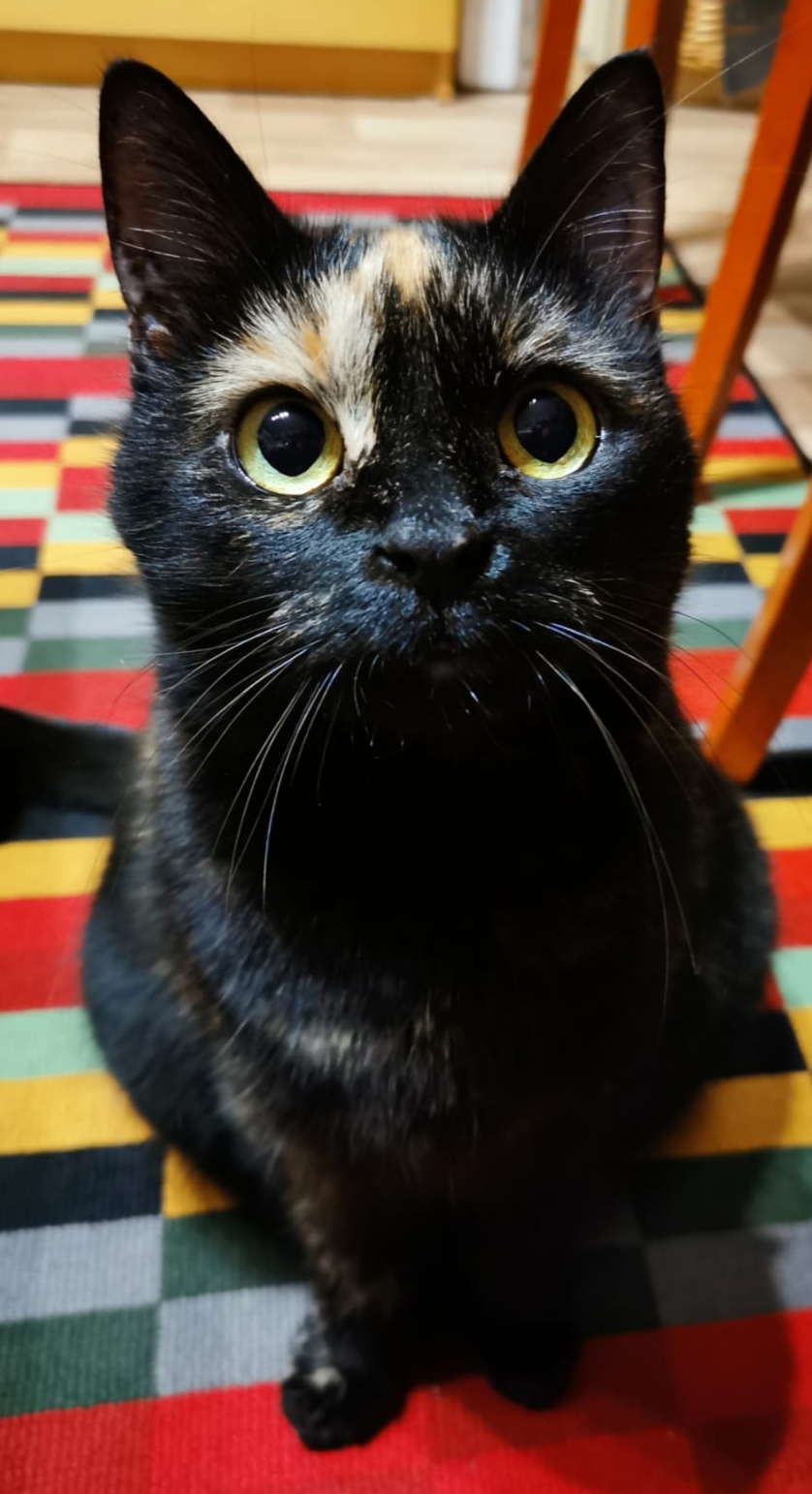 6c99318a-66b4-473e-9eab-336ff8054b7f