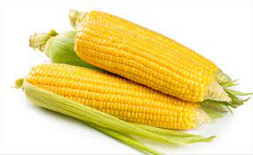 7ed4fd83-6de9-4991-9894-e5adca6bc18c