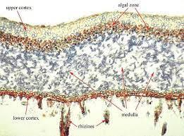 7e46525b-5084-4b7f-83a4-8b0bdaedd588